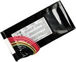 MSI GT76 Titan DT-089 replacement battery