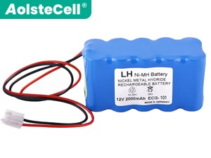Biocare ECG-300A replacement battery