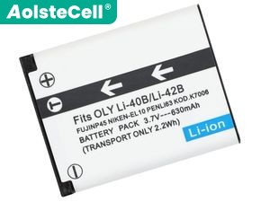 Leica SL1031 replacement battery