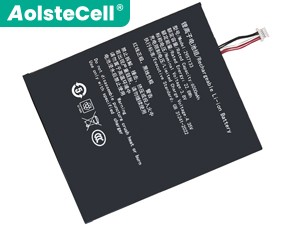 Teclast 2957133 replacement battery