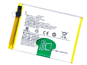 Vivo B-M6 replacement battery
